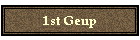 1st Geup