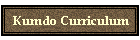Kumdo Curriculum