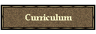 Curriculum