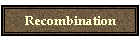 Recombination