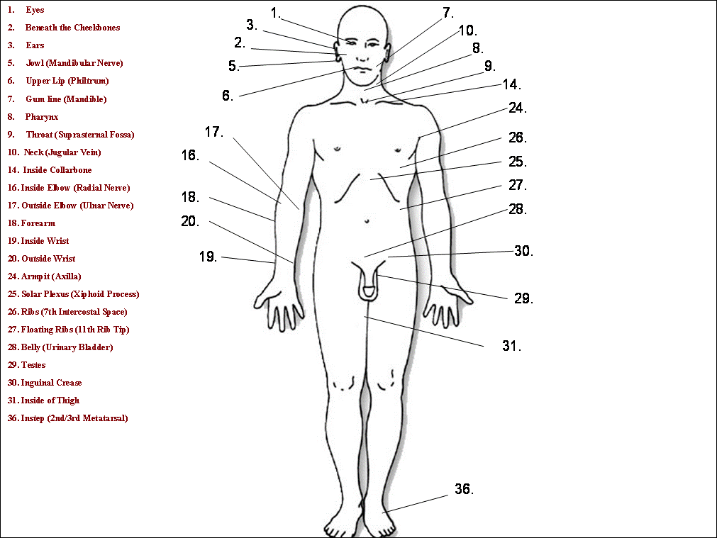 Hapkido Pressure Point Chart